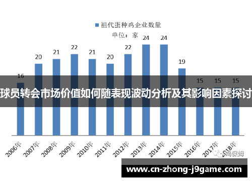球员转会市场价值如何随表现波动分析及其影响因素探讨 球员转会市场价值如何随表现波动分析及其影响因素探讨